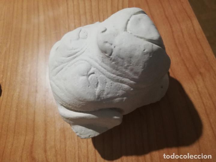 Nuevo: CABEZAS DE PERRO PARA PINTAR - Foto 4
