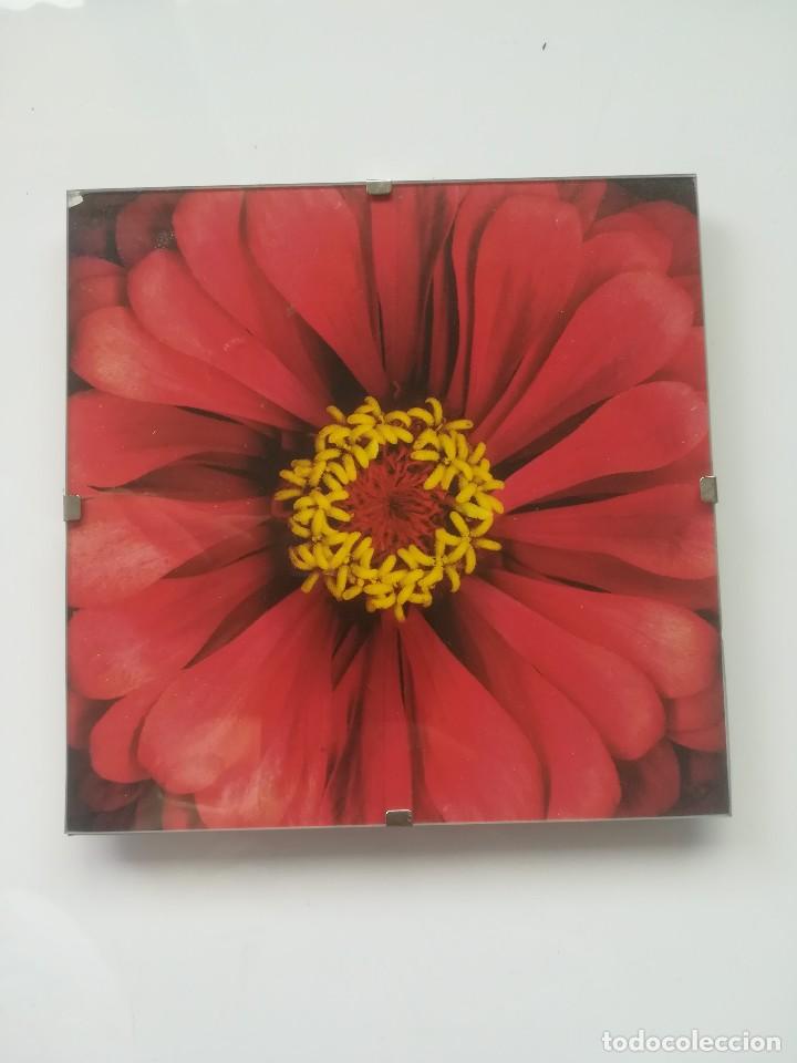 Nuevo: CUADRO FLOR ROJA 14 X 14 CM - Foto 1