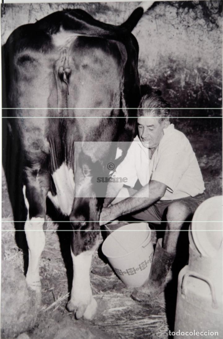 Nuevo: ORDE&Ntilde;ANDO