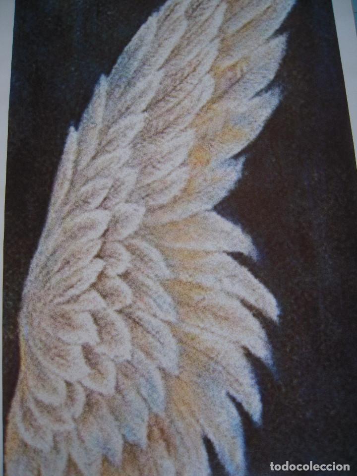 Nuevo: Dos l&aacute;minas textil alas &aacute;ngel - Foto 2