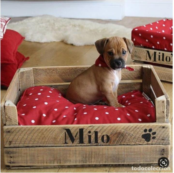 Neu: cama de madera perro, personalizada, ani365