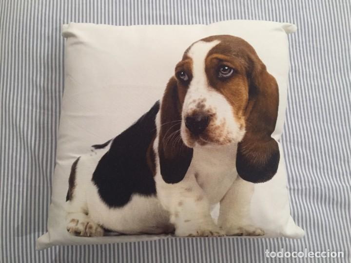 Nuevo: Coj&iacute;n Basset Hound - Foto 1