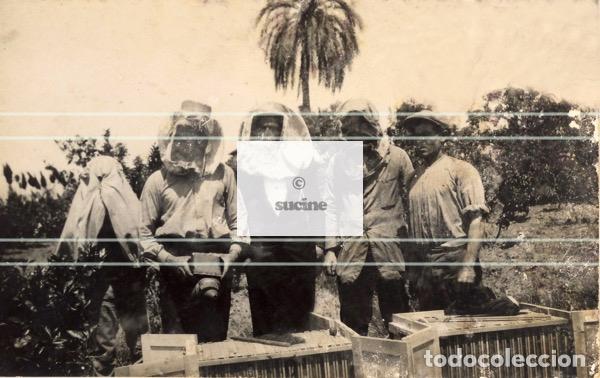 Neu: GENTE DE CASTELLON COLMENAS C 36