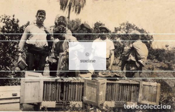 Nuevo: GENTE DE CASTELLON COLMENAS C36 - Foto 1