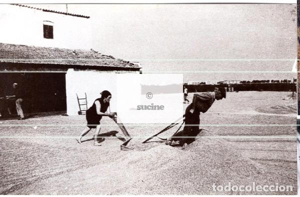 Nuevo: TRABAJOS EN LA ERA ZONA DEL SENILLAR GRAO DE CASTELLON - Foto 1