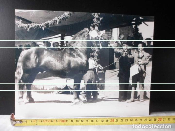 Nuevo: AMPLIACION FOTOGRAFICA TAMA&Ntilde;O 20X30 FERIA GANADO PLAZA DEL REY (PACO LEON CON TROFEO) CASTELLON