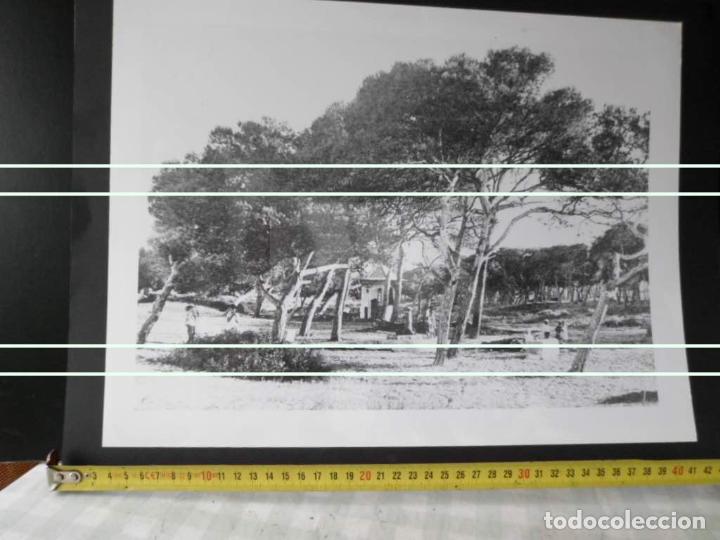 Nuevo: FOTOGRAFIA DEL PINAR GRAO DE CASTELLON - Foto 1