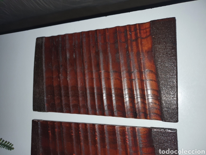 Nuevo: Tablas para sushi nuevas . - Foto 3