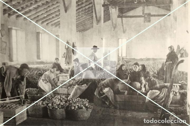 Nuevo: CASTELLON Y NUESTRA GENTE (EMPLEADAS ALMACEN DE NARANJAS) - Foto 1
