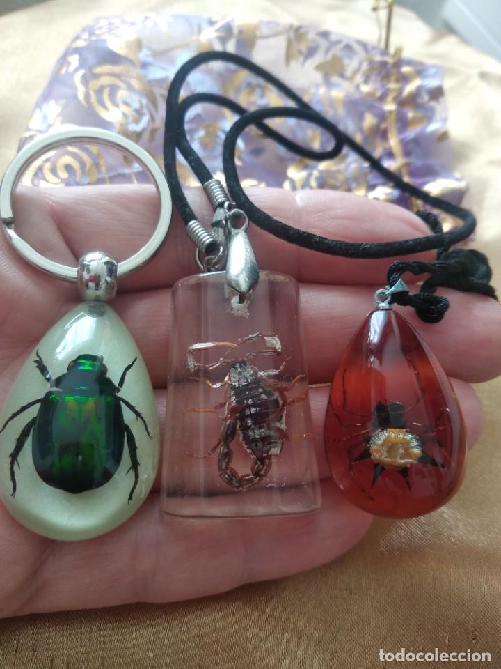 Nuevo: llavero ,2 collares con insectos en cristal - Foto 2