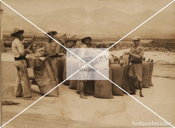 Nuovo: GENTE DE CASTELLON EN EL RECUERDO ENSACANDO EL ARROZ