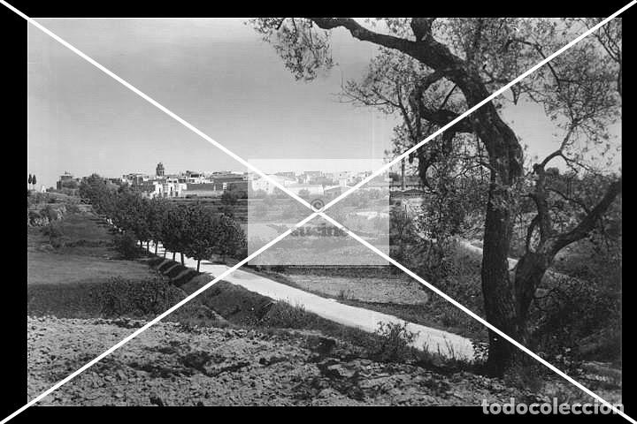 Novo: PROVINCIA DE CASTELLON EN EL RECUERDO TRAIGUERA