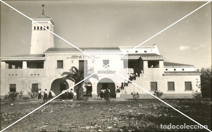 Nuevo: GENTE DE NULES EN EL RECUERDO GRANJA ESCUELA - Foto 1