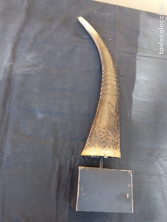 Nuevo: ESCULTURA CHAPA REPLICA DE CUERNO. - Foto 3