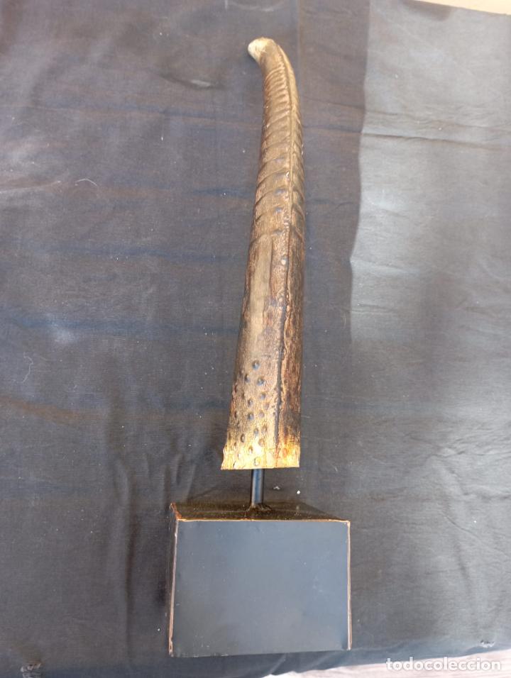 Nuevo: ESCULTURA CHAPA REPLICA DE CUERNO. - Foto 4