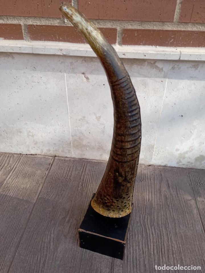 Nuevo: ESCULTURA CHAPA REPLICA DE CUERNO. - Foto 1