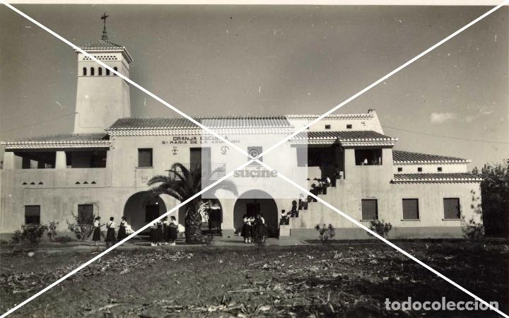 Nuevo: GRANJA ESCUELA EN NULES CASTELLON - Foto 1