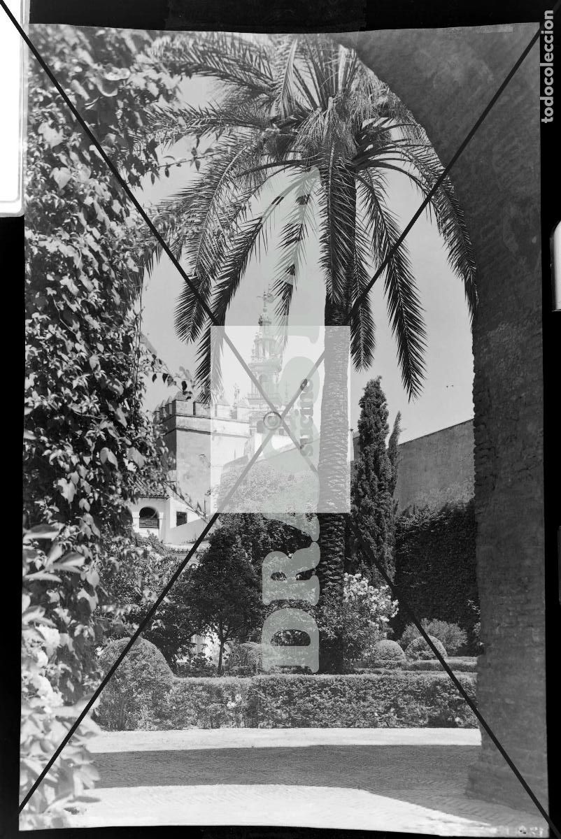 Nuevo: SEVILLA EN EL RECUERDO - Foto 1
