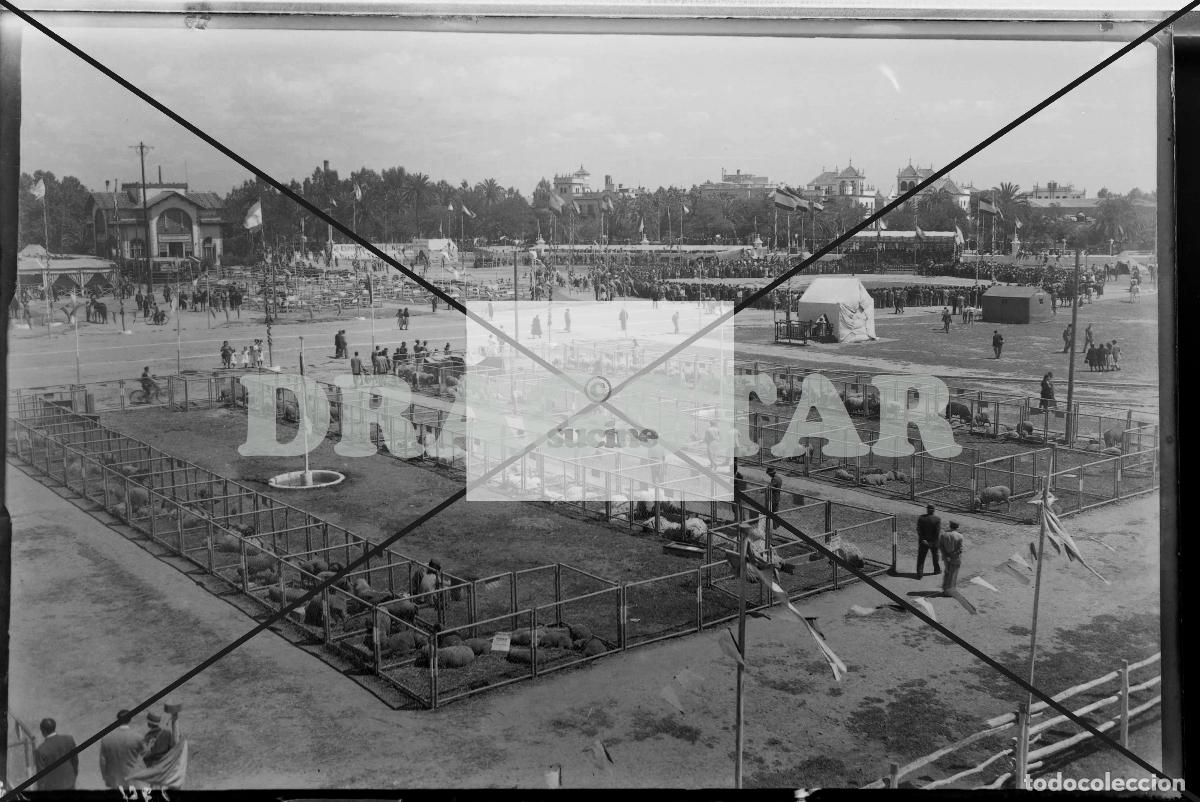 Nuevo: SEVILLA EN EL RECUERDO - Foto 1