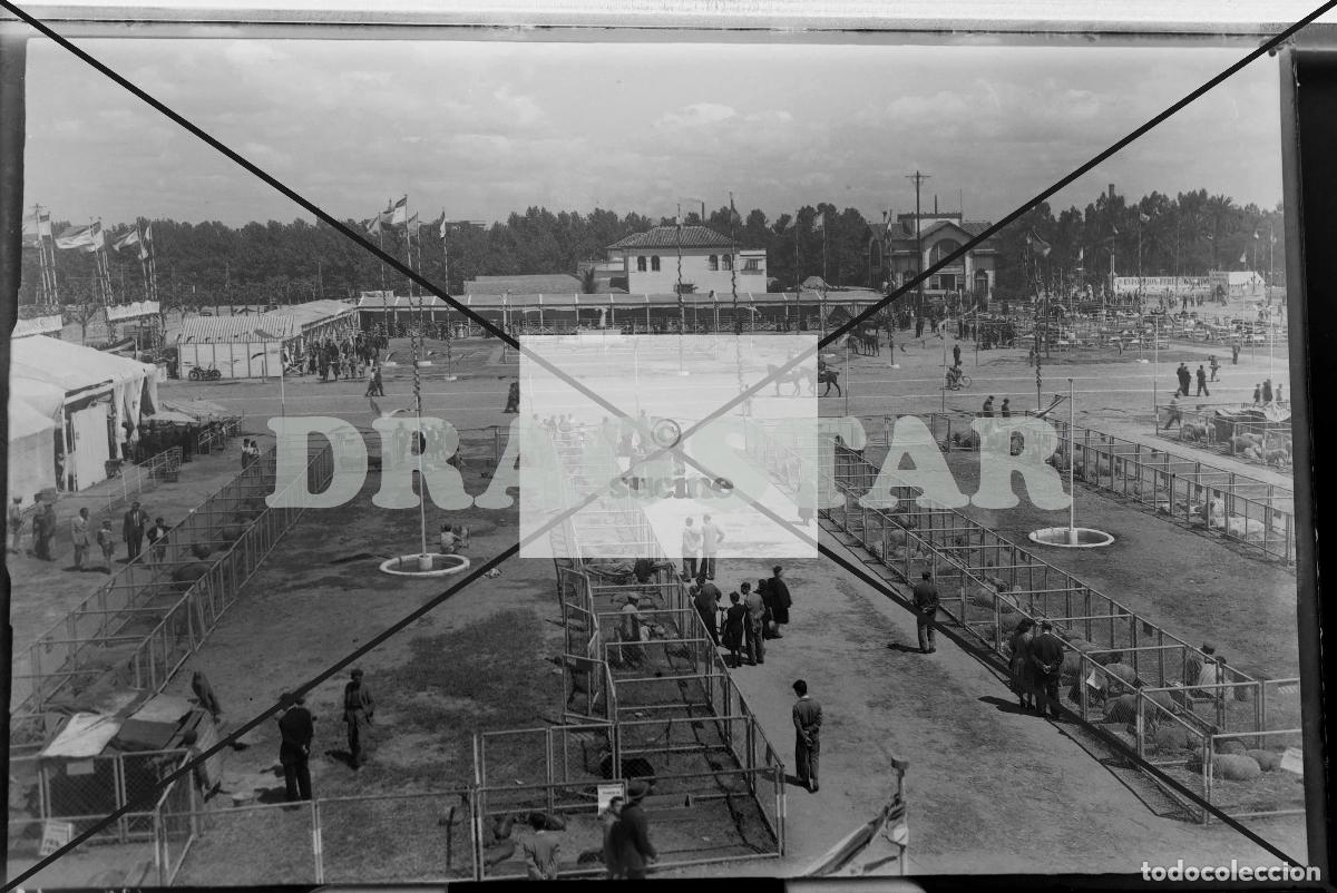 Nuevo: SEVILLA EN EL RECUERDO - Foto 1