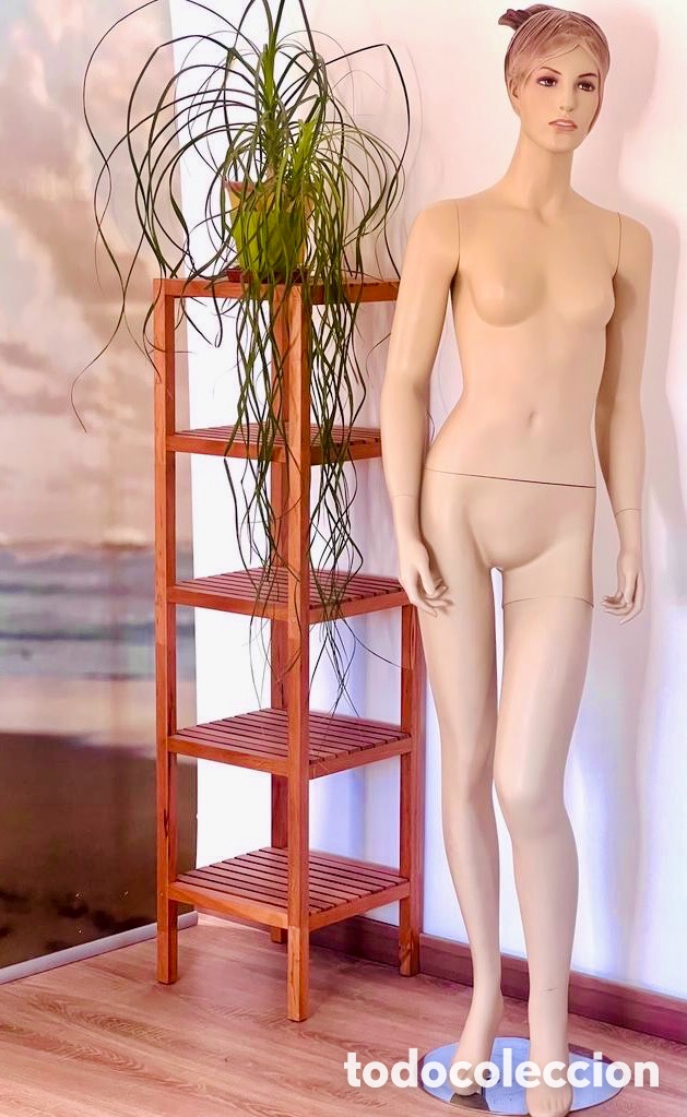 Nuevo: Maniqu&iacute; mujer chica NUEVO - Foto 1