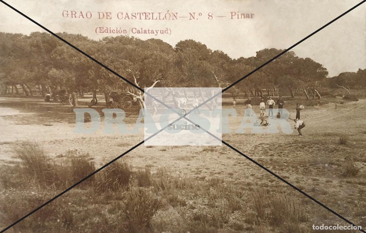 Nuevo: GRAO DE CASTELLON EN EL RECUERDO, EL PINAR DEL GRAO EN 1905 C65 - Foto 1