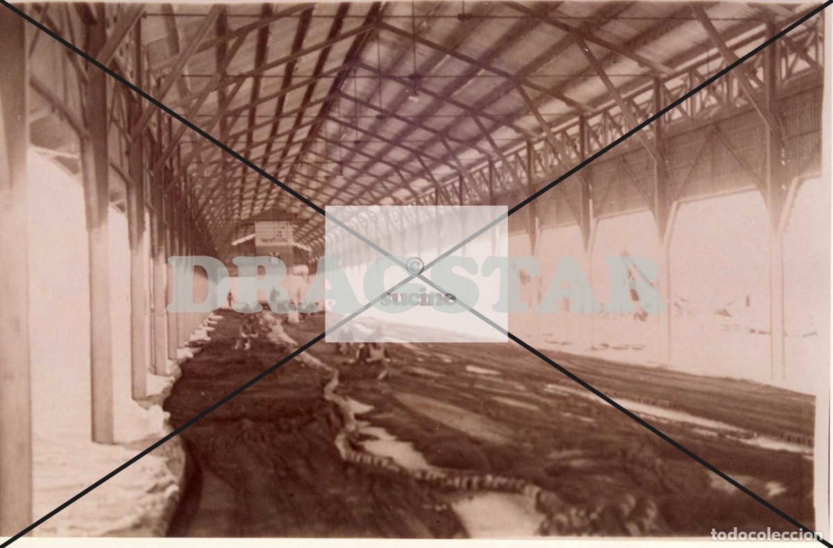 Nuevo: &iexcl;&iexcl;&iexcl;OFERTA!!! RECUERDOS DEL GRAO DE CASTELLON, REDES Y COBERTIZO .C70 - Foto 1