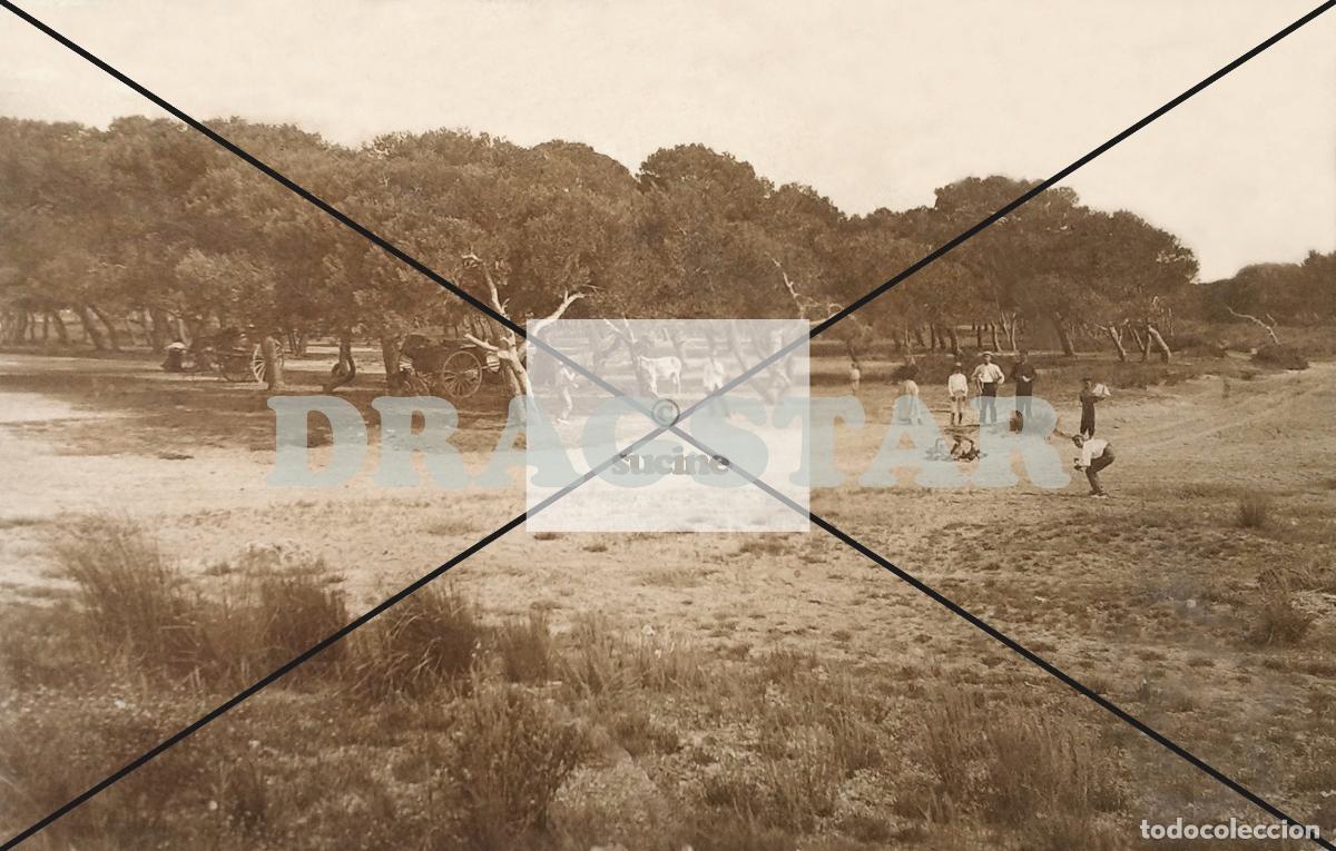 Nuevo: EL PINAR DEL GRAO DE CASTELLON EN 1915 C-71 - Foto 1