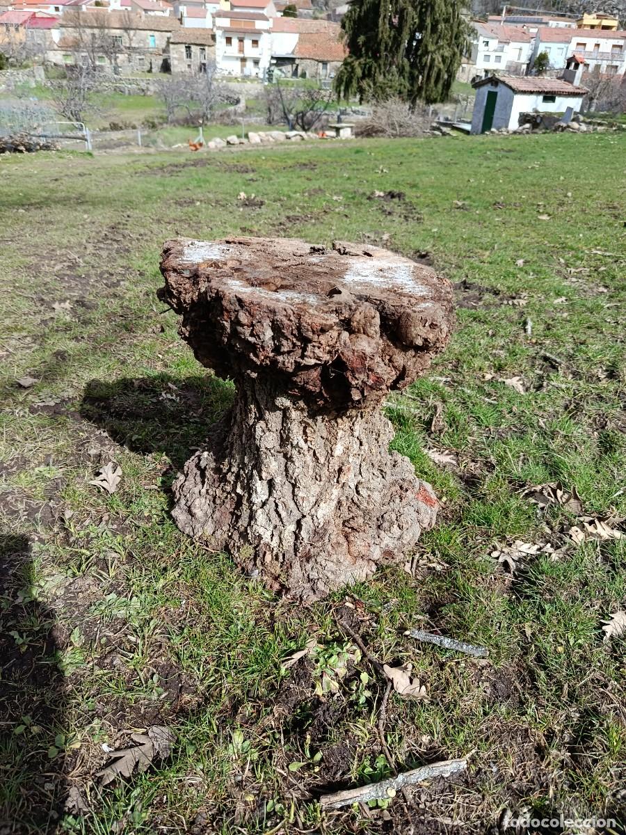 Nuevo: 3 apollos de macetas de madera natural - Foto 3