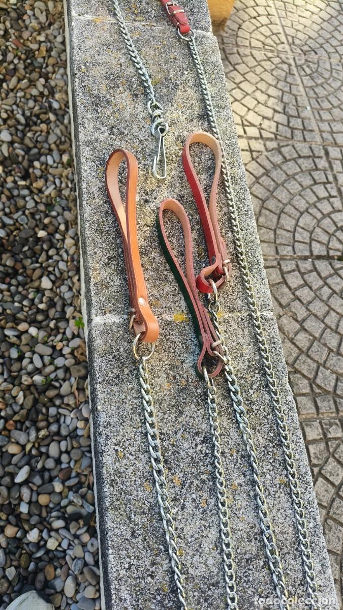 Nuevo: Lot de laisse pour chien Haute qualit&eacute;