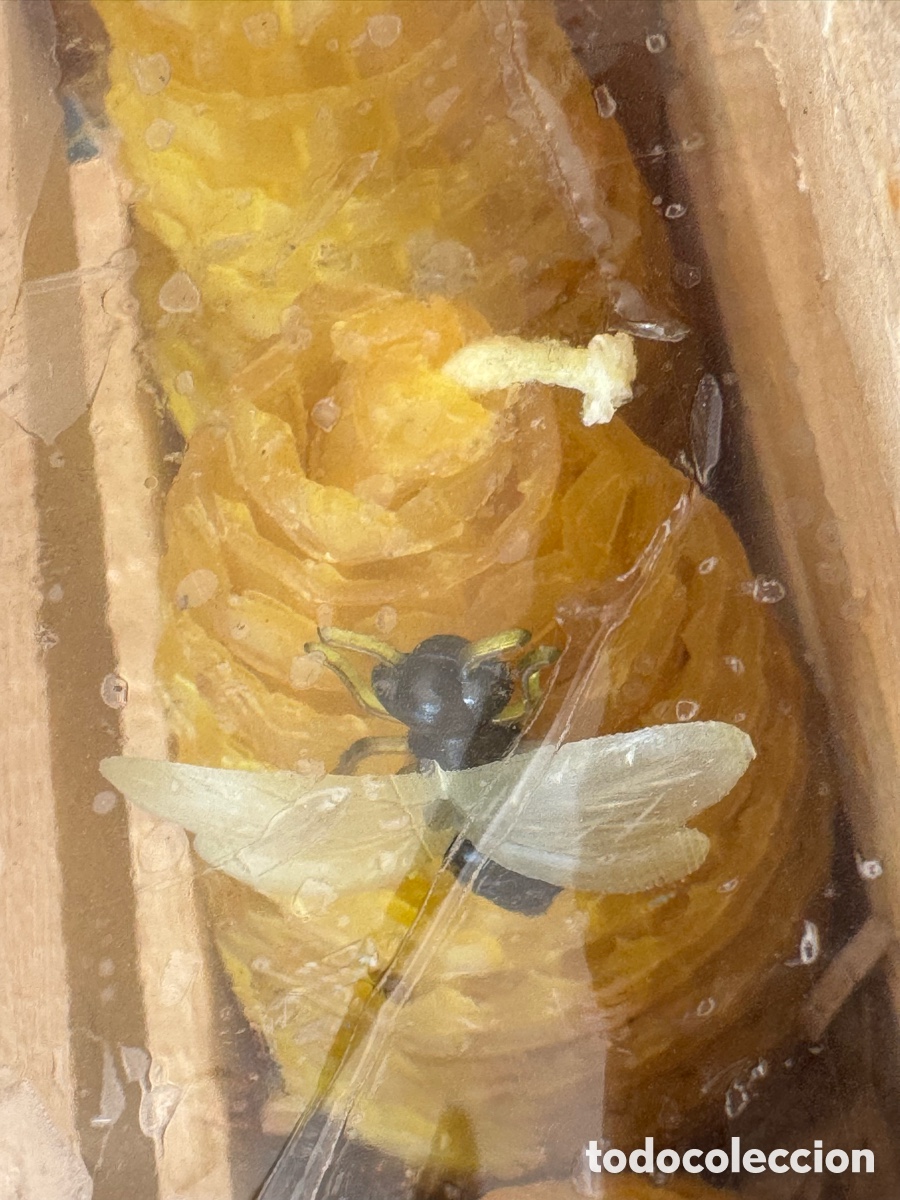 Nuevo: PACK 4 VELAS DE CERA DE ABEJA - Foto 2