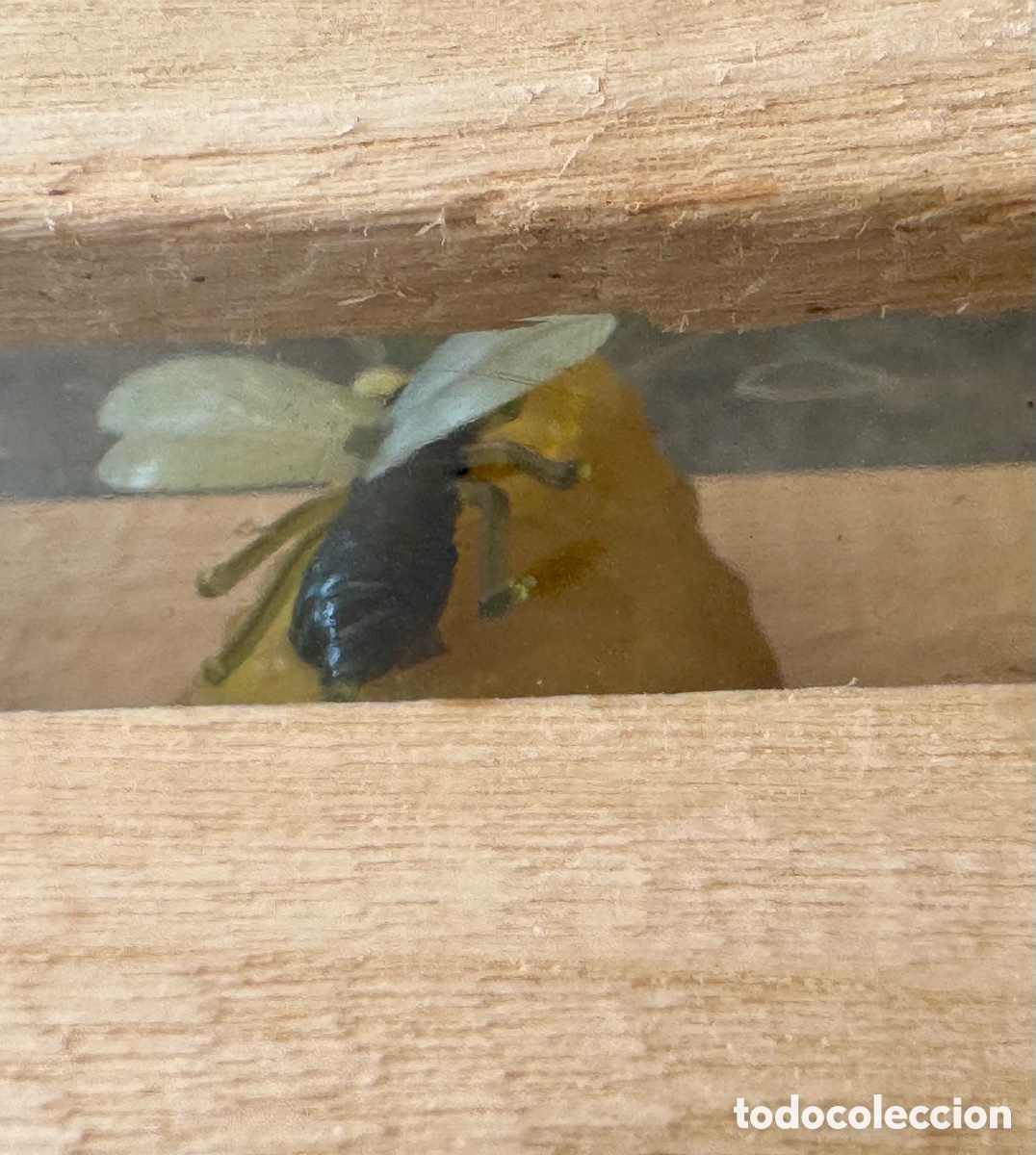 Nuevo: PACK 4 VELAS DE CERA DE ABEJA - Foto 4