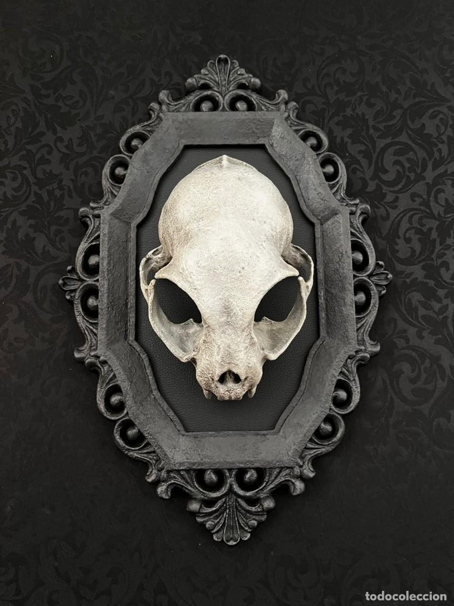 Nuevo: Dark Gothic CAT Skull