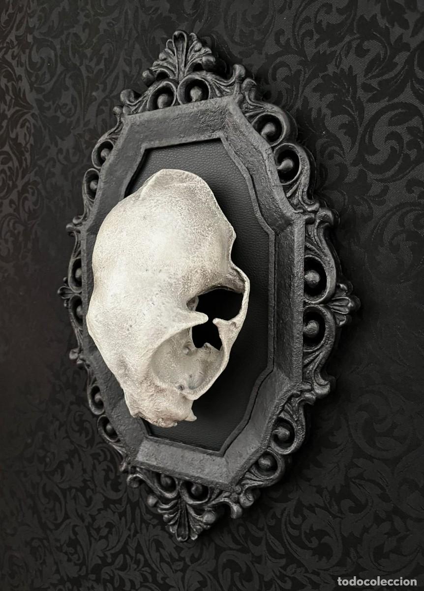 Nuevo: Dark Gothic CAT Skull Calavera Gato - Foto 2