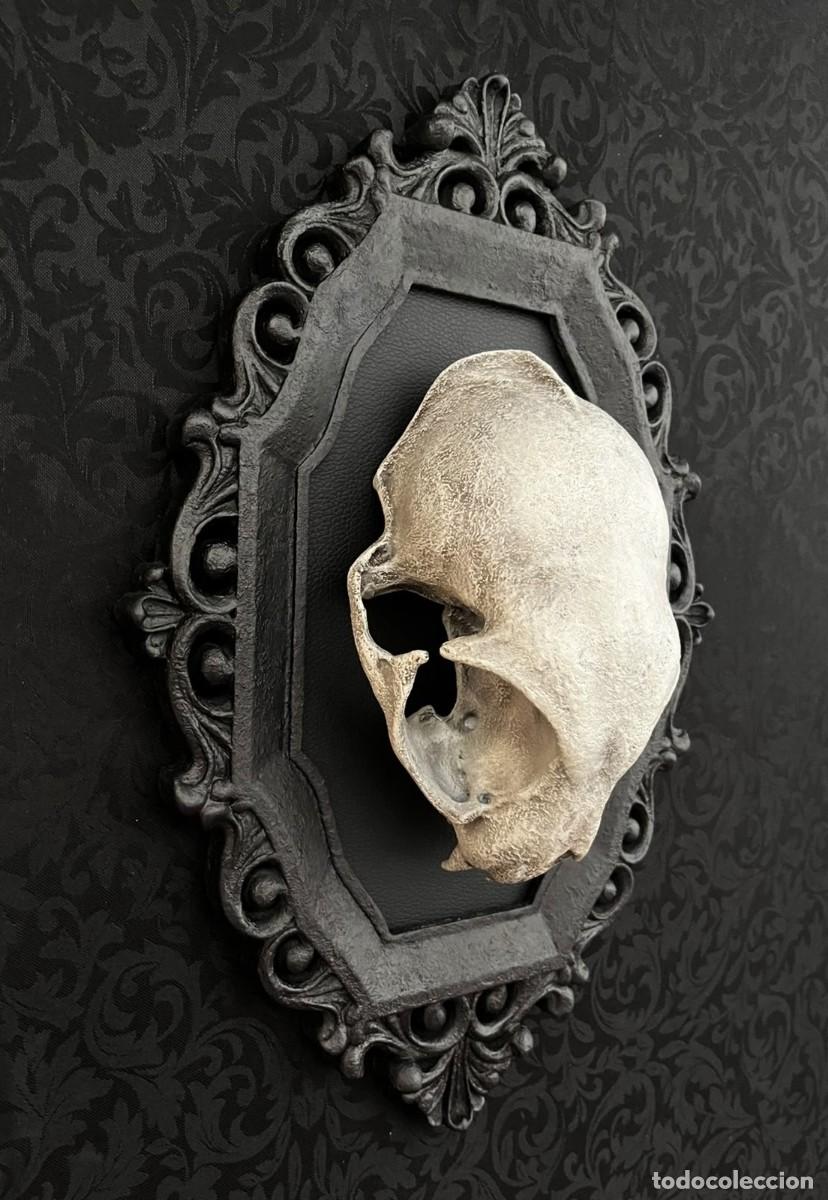 Nuevo: Dark Gothic CAT Skull Calavera Gato - Foto 3