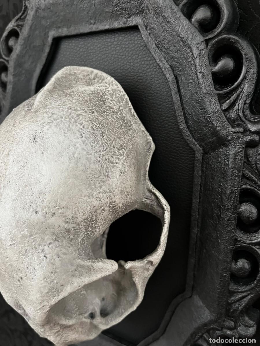 Nuevo: Dark Gothic CAT Skull Calavera Gato - Foto 6