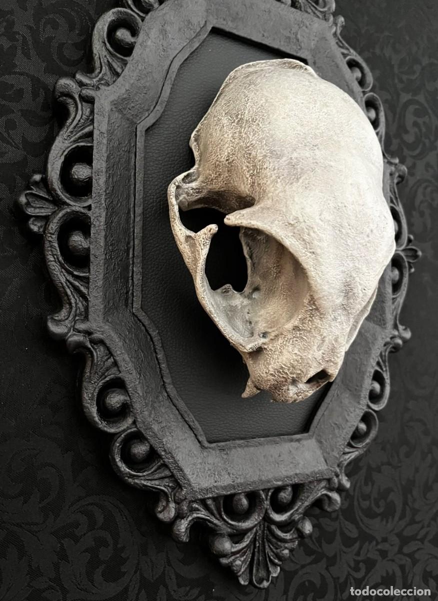 Nuevo: Dark Gothic CAT Skull Calavera Gato - Foto 8