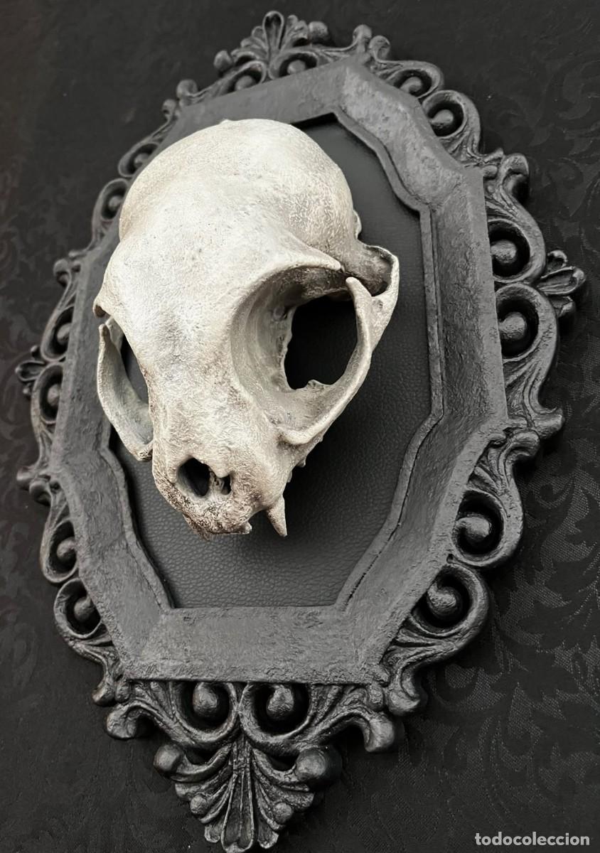 Nuevo: Dark Gothic CAT Skull Calavera Gato - Foto 10