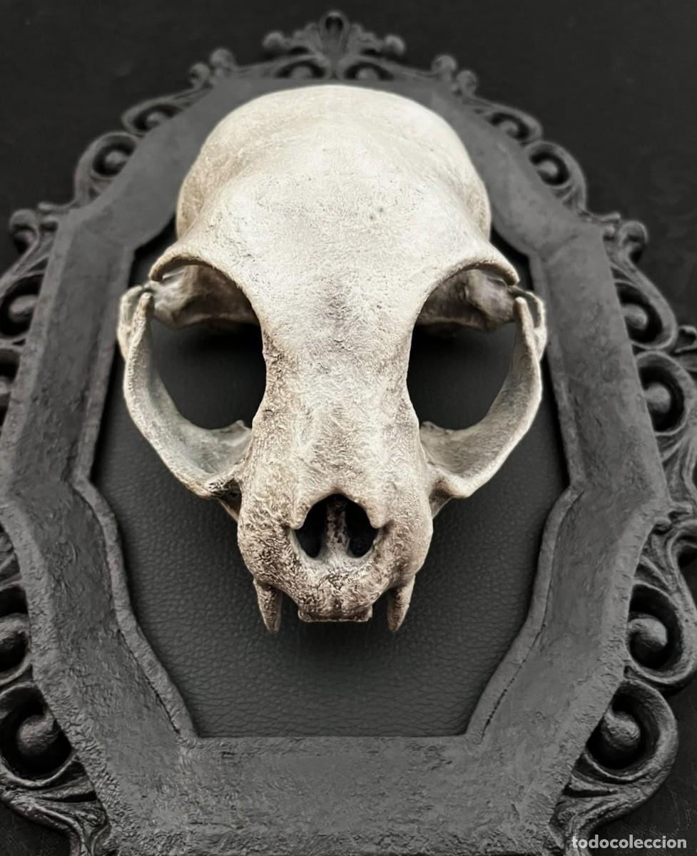 Nuevo: Dark Gothic CAT Skull Calavera Gato - Foto 11
