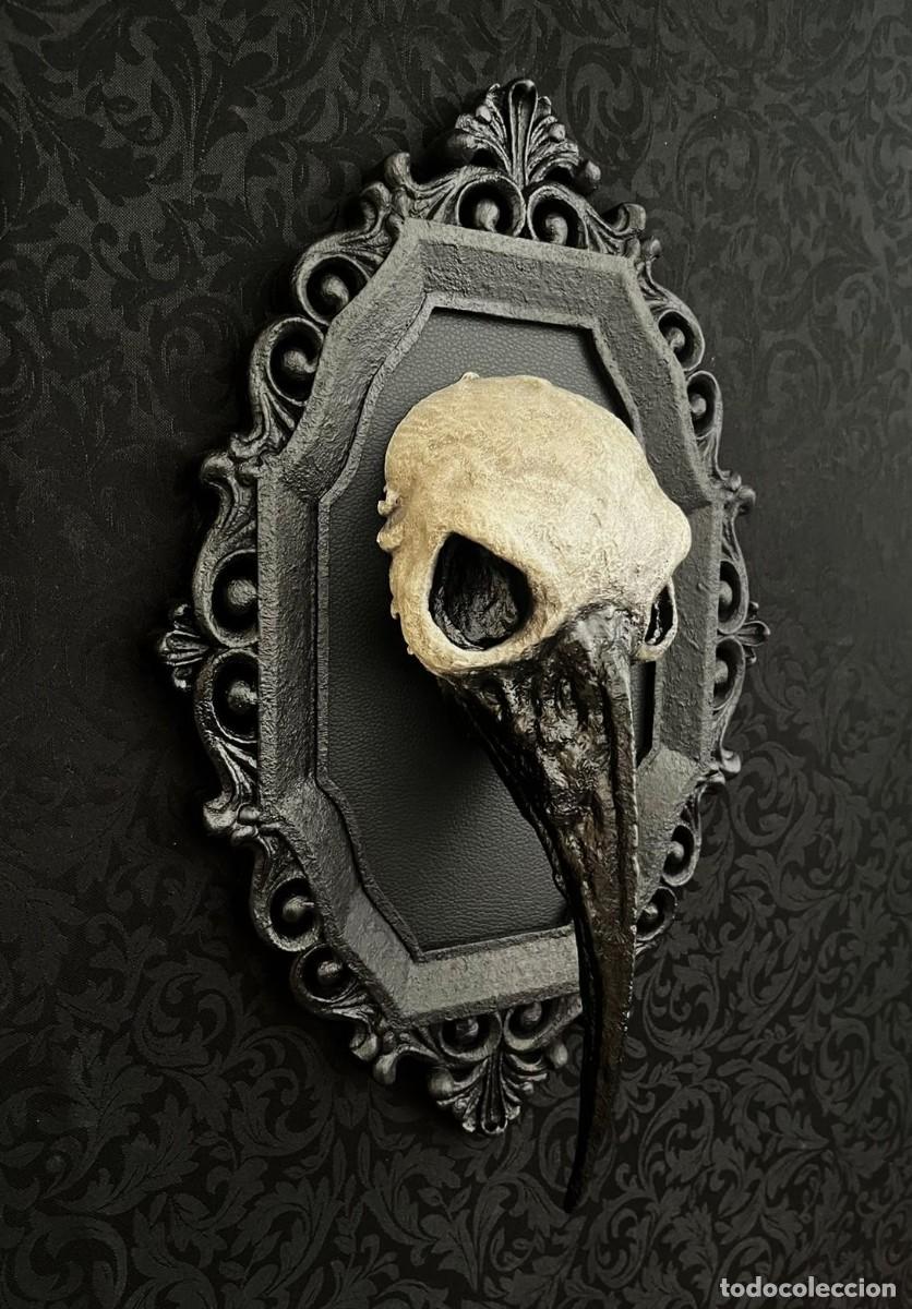 Nuevo: Dark Gothic Raven Skull Calavera - Foto 2