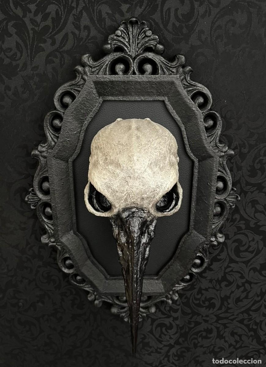 Nuevo: Dark Gothic Raven Skull Calavera - Foto 6