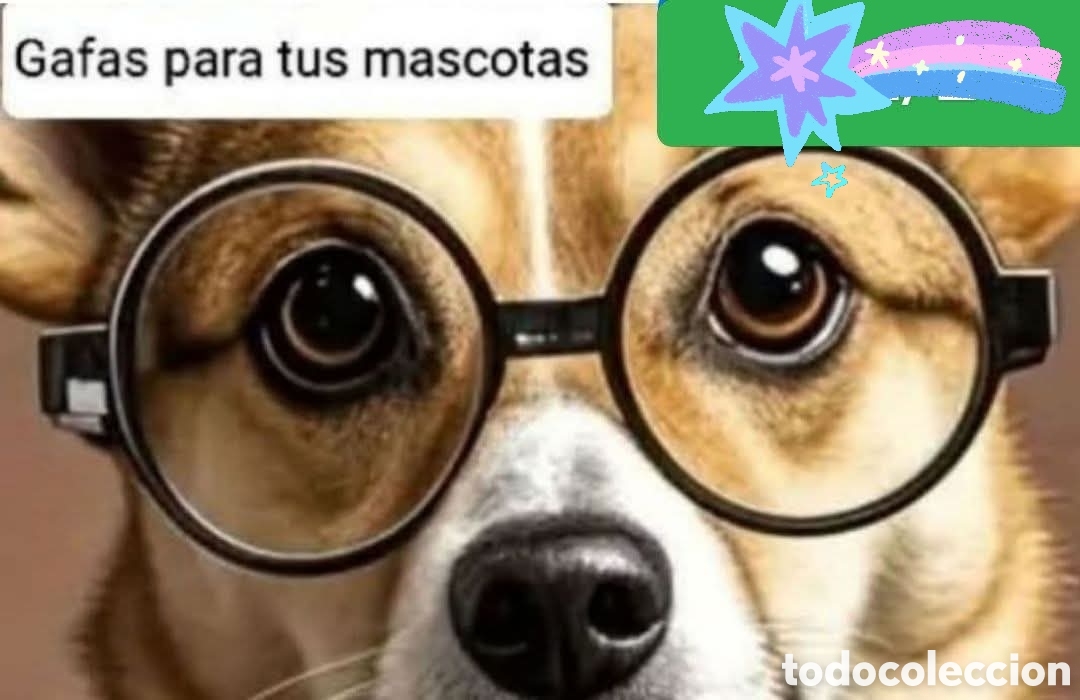 Nuevo: :::: S63 - GAFAS PARA TUS MASCOTAS