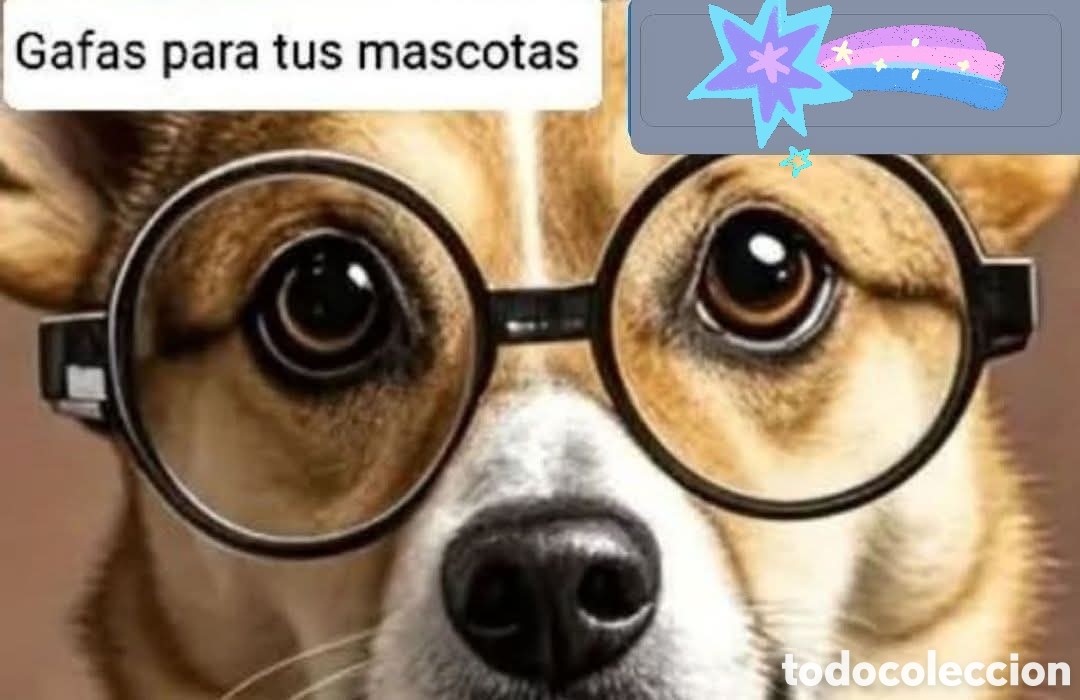 Nuevo: :::: V35- GAFAS PARA MASCOTAS - Foto 1