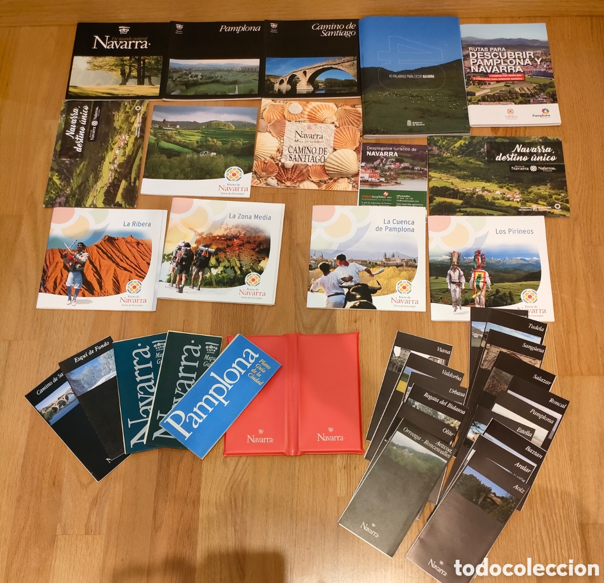 Nuevo: LOTE gu&iacute;as y mapas de Navarra