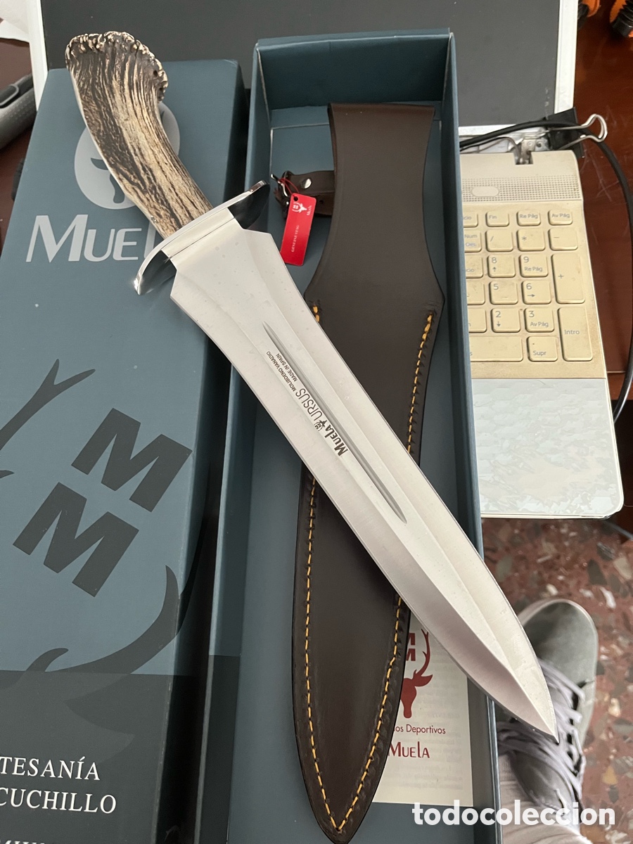 Nuevo: Muela &Uacute;rsus 25s nuevo a estrenar