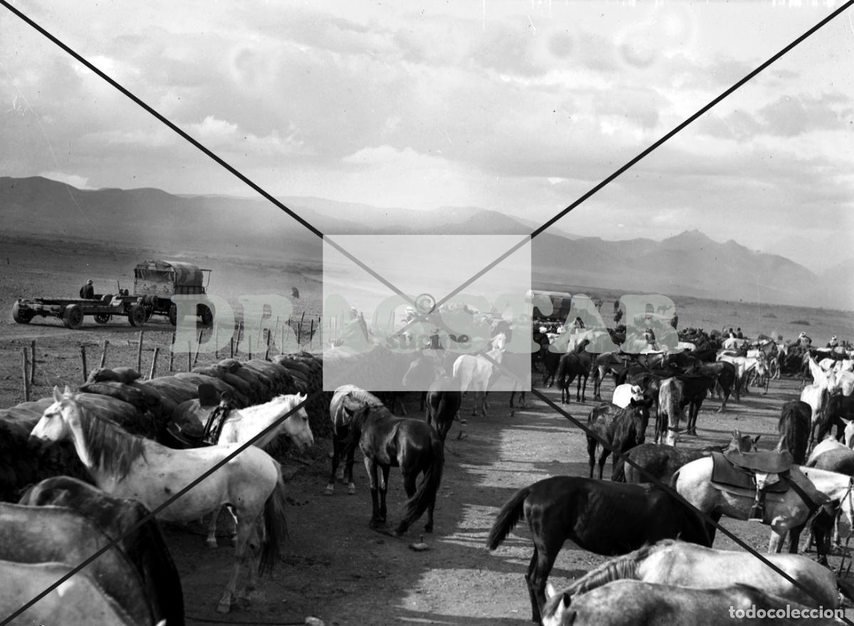 Nuevo: LA GUERRA DE ESPA&Ntilde;A EN AFRICA, CABALLOS EN CEUTA O MELILLA TD 82