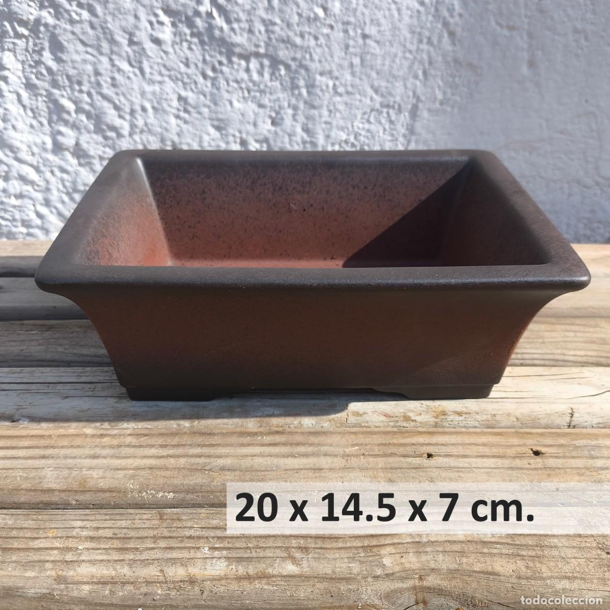 Nuevo: Maceta Bons&aacute;i Yixing Rectangular 20 cm
