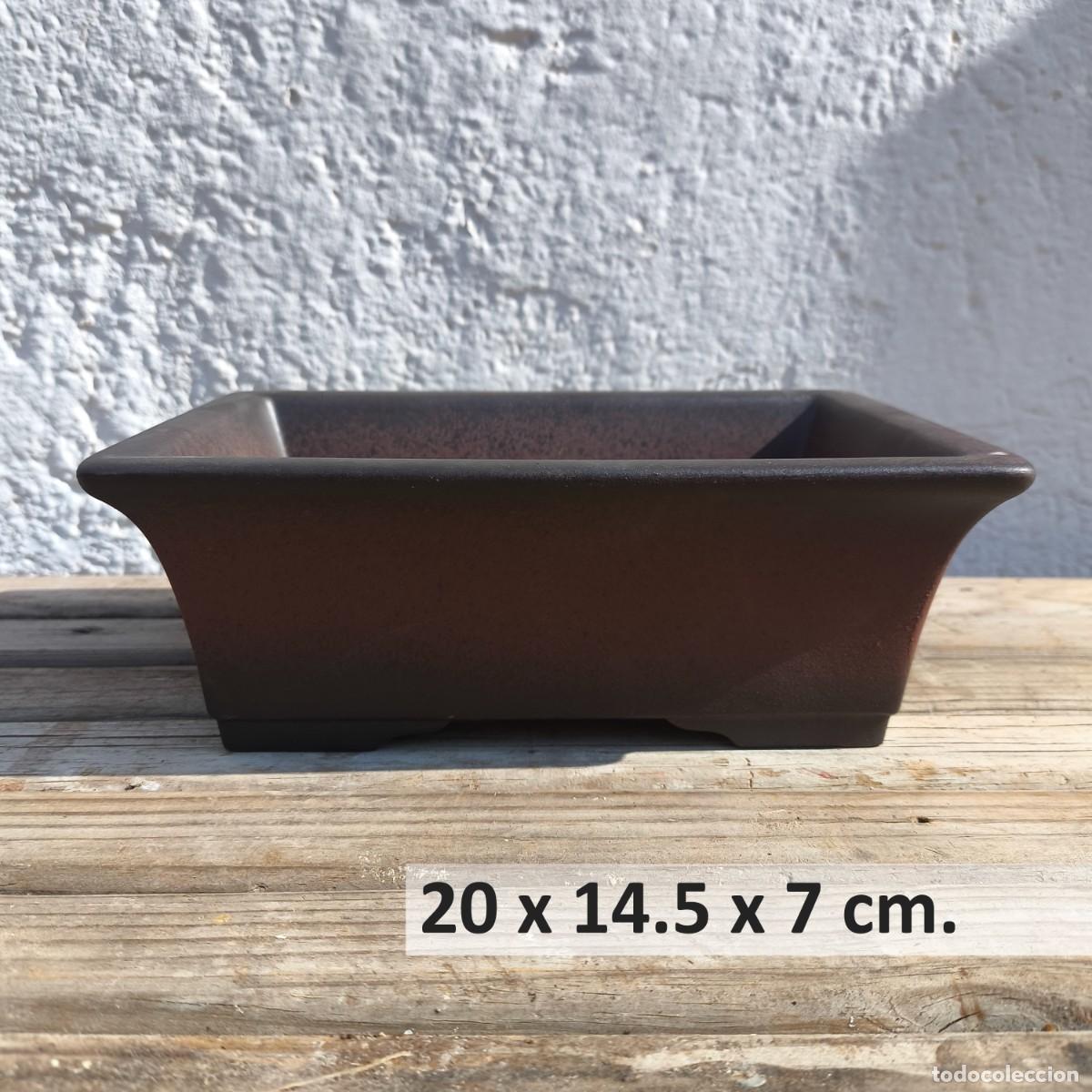 Nuevo: Maceta Bons&aacute;i Yixing Rectangular 20 cm - Foto 3