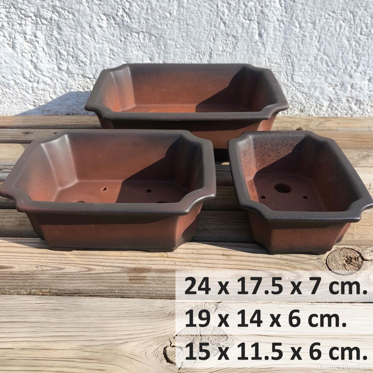 Nuevo: Lote 3 Macetas Bonsai Terracota Marr&oacute;n