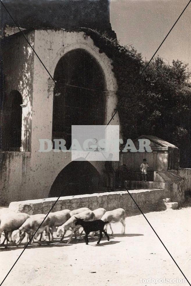 Nuevo: TRAIGUERA (CASTELL&Oacute;N) EN EL RECUERDO.